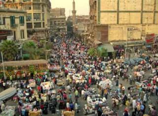 Tefl Cairo
