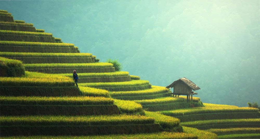6 Facts about Teaching English in China | ITTT | TEFL Blog