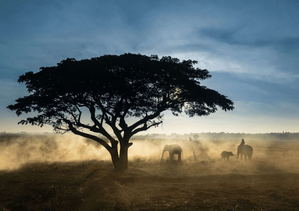 The Most Common Problems Students in Nigeria Face When Learning English | ITTT | TEFL Blog