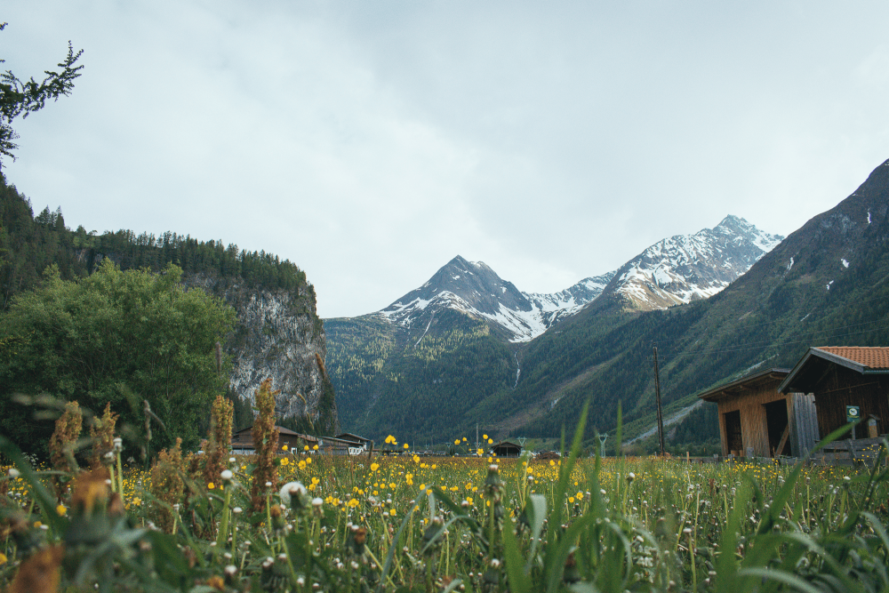 Alumni Report: What It’s Like Teaching English in Austria | ITTT | TEFL Blog