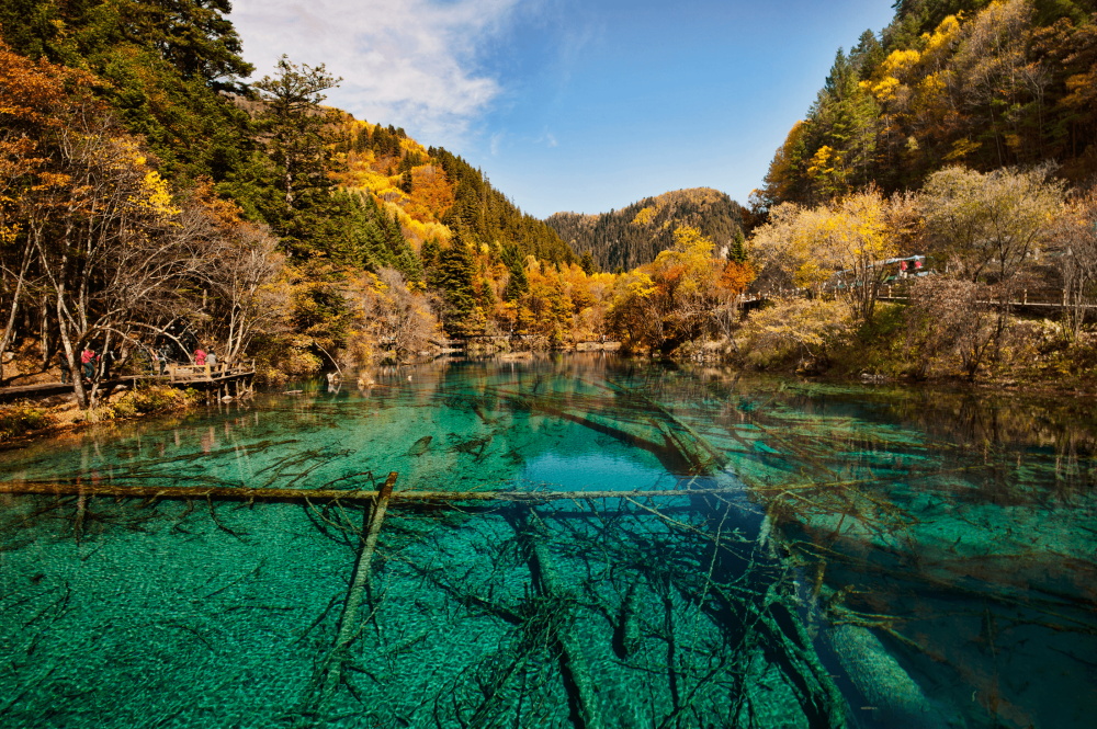 Top 10 Places to Take Your TEFL Course in the Fall | ITTT | TEFL Blog