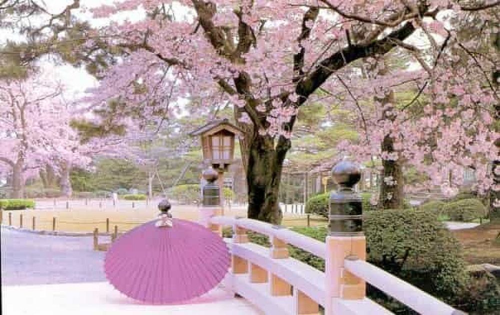 3 Amazing Hidden-Gem Travel Destinations in Japan | ITTT | TEFL Blog