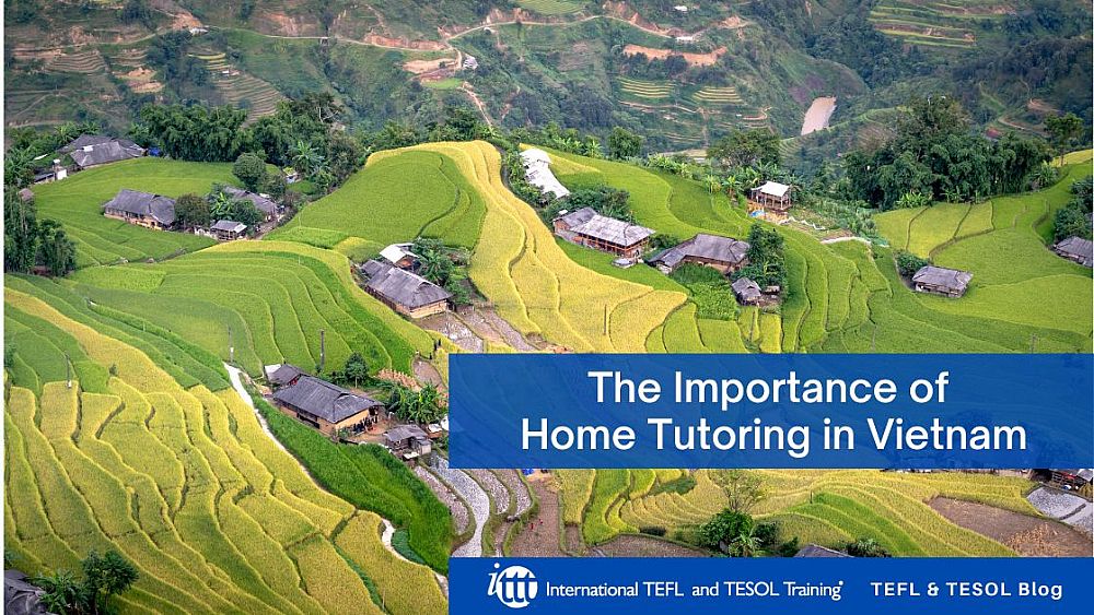 The Importance of Home Tutoring in Vietnam | ITTT | TEFL Blog