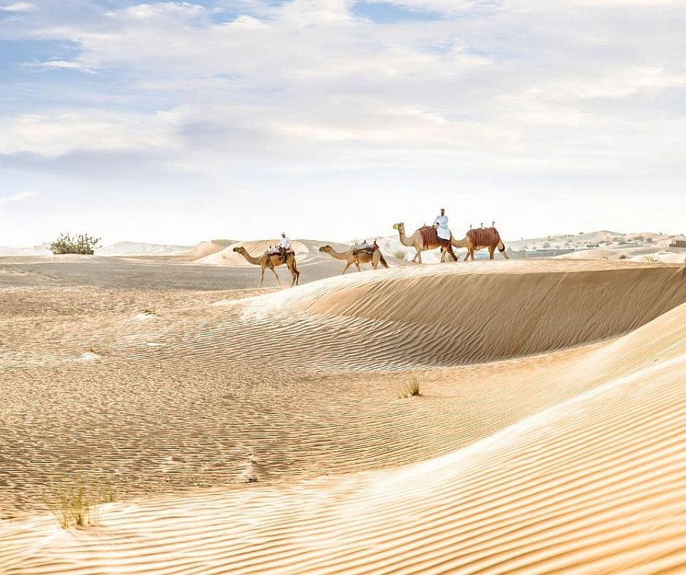 The 11 Best Places to Visit in Saudi Arabia | ITTT | TEFL Blog