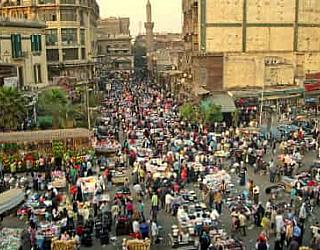 Tefl Cairo