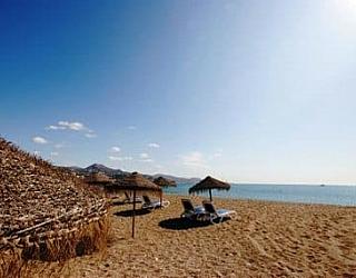 Tefl Malaga
