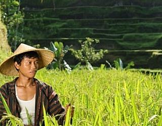 English language Surabaya