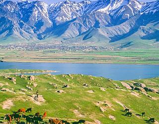 English language Tashkent