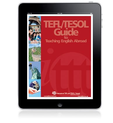 Tefl Guide