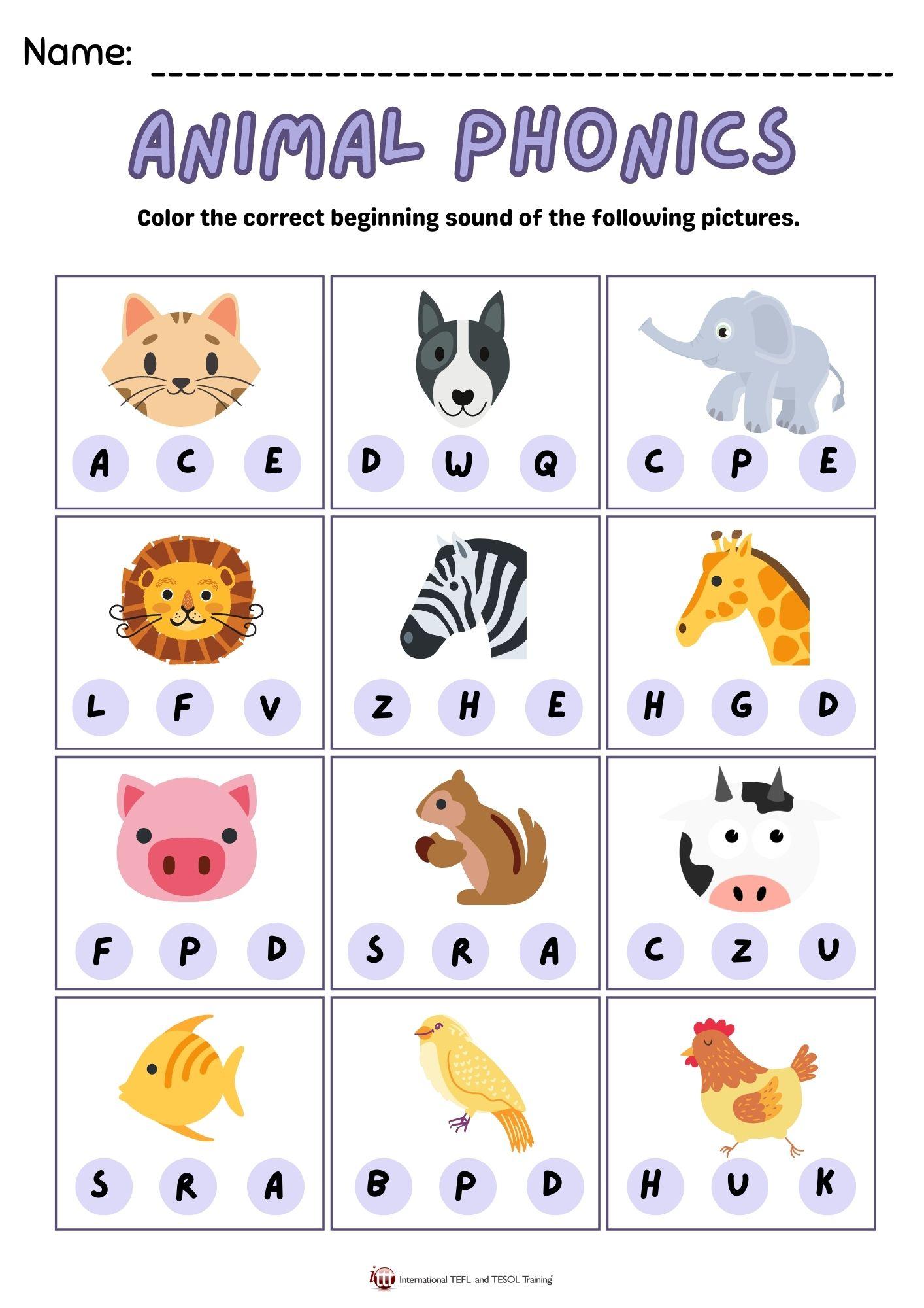 Grammar Corner Animal Phonics EFL Worksheet
