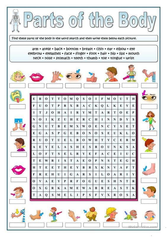 Grammar Corner Parts of the Body Word Search