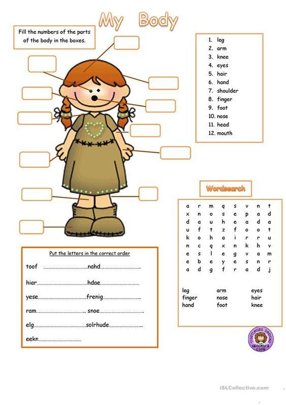 Grammar Corner My Body Worksheet