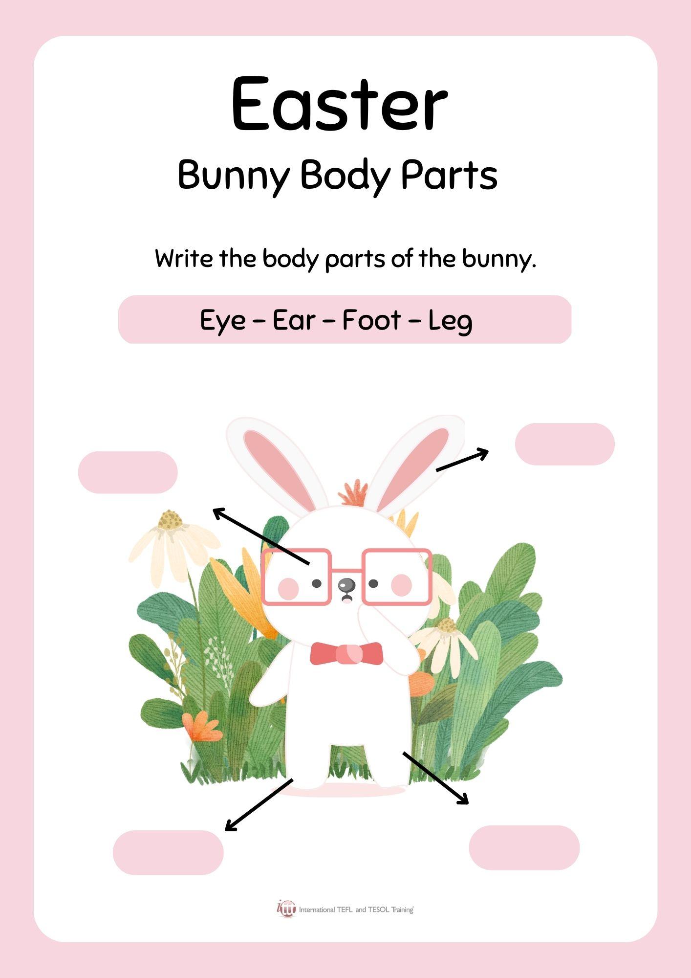 Grammar corner Easter Bunny Body Parts Grammar Corner Easter Bunny Body Parts