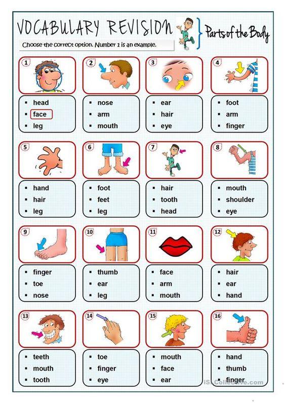Grammar Corner Parts of the Body Vocabulary Revision