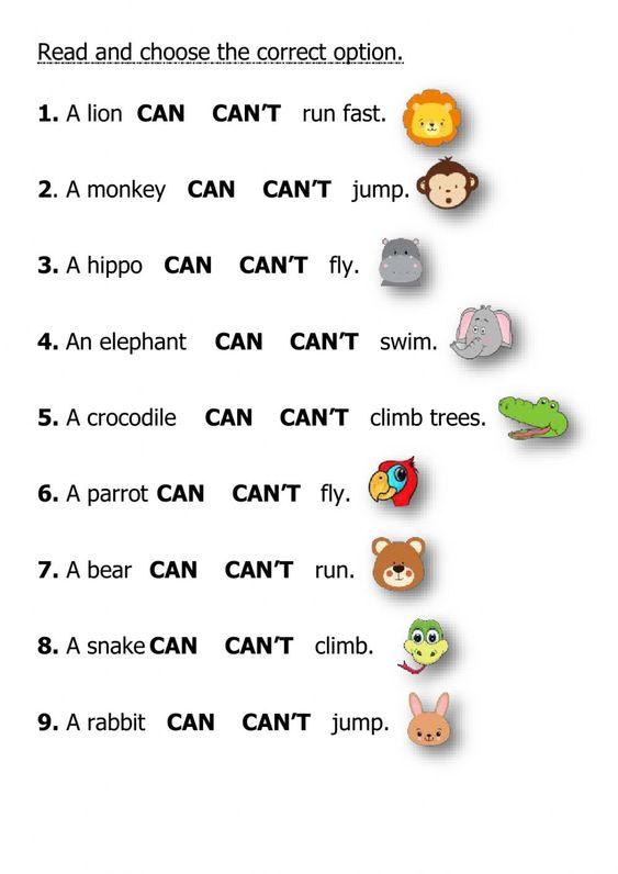 Grammar Corner Animals + Can Activity