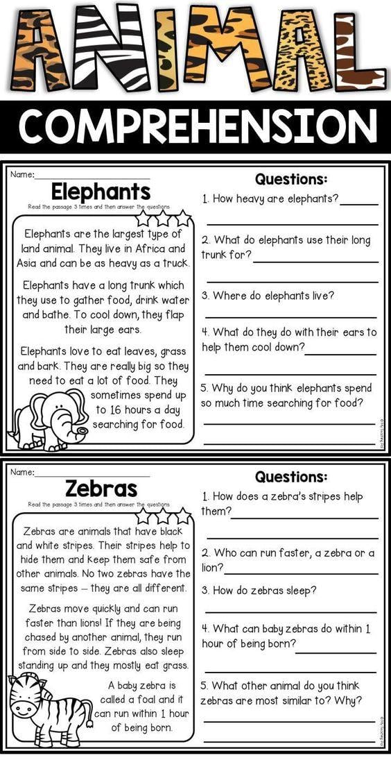 Grammar Corner Animal Reading Comprehension