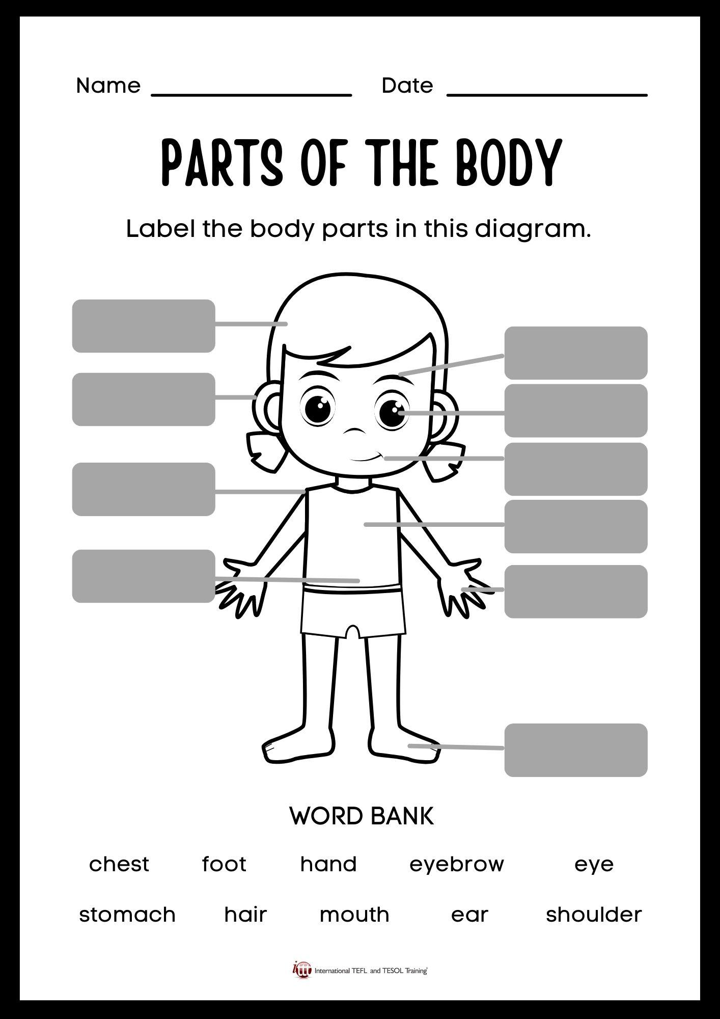 Grammar corner Parts of the Body EFL Worksheet Grammar Corner Parts of the Body EFL Worksheet