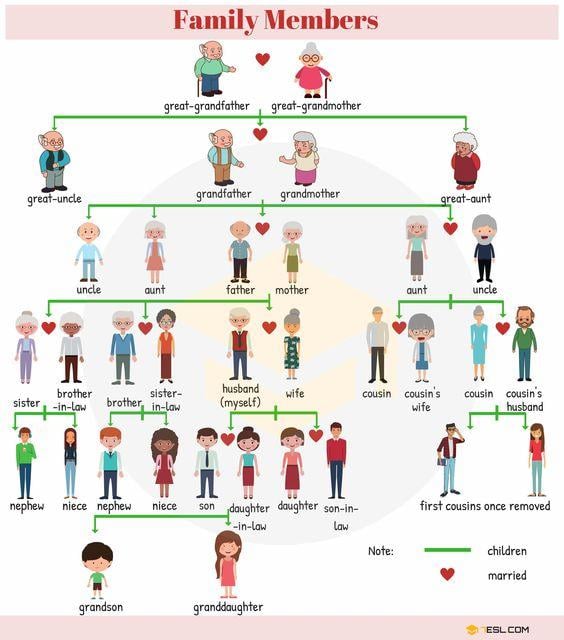 Grammar corner Family Relationship Chart: Family Tree Chart with Family Words