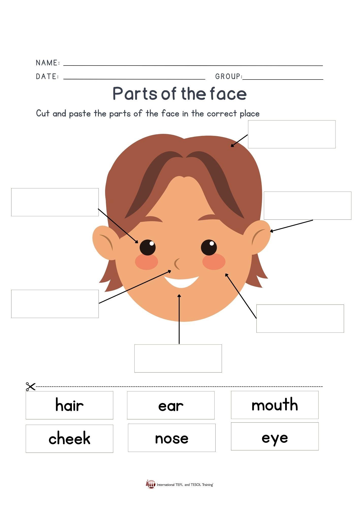 Grammar corner Parts of the Face Worksheet