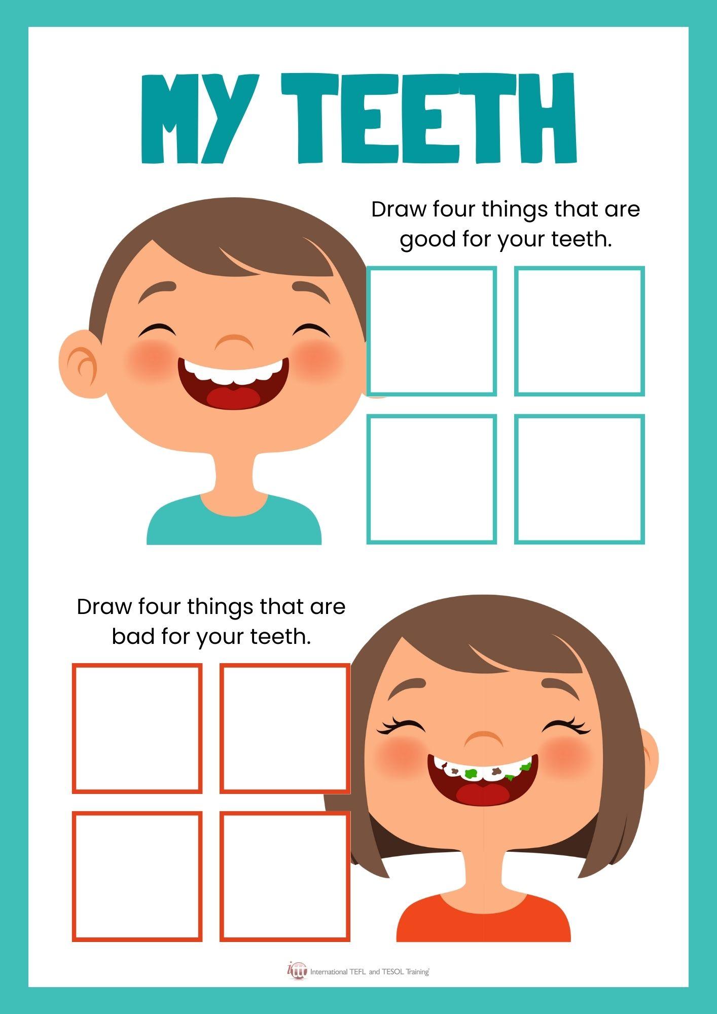 Grammar corner EFL Worksheet about Teeth II