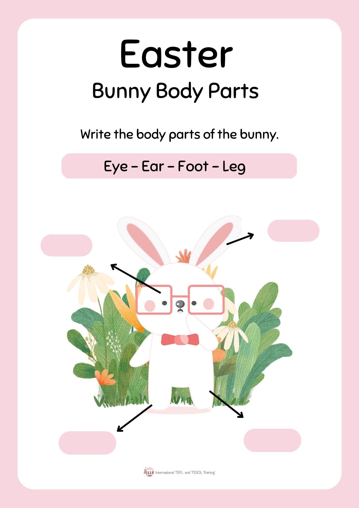 Grammar corner Easter Bunny Body Parts