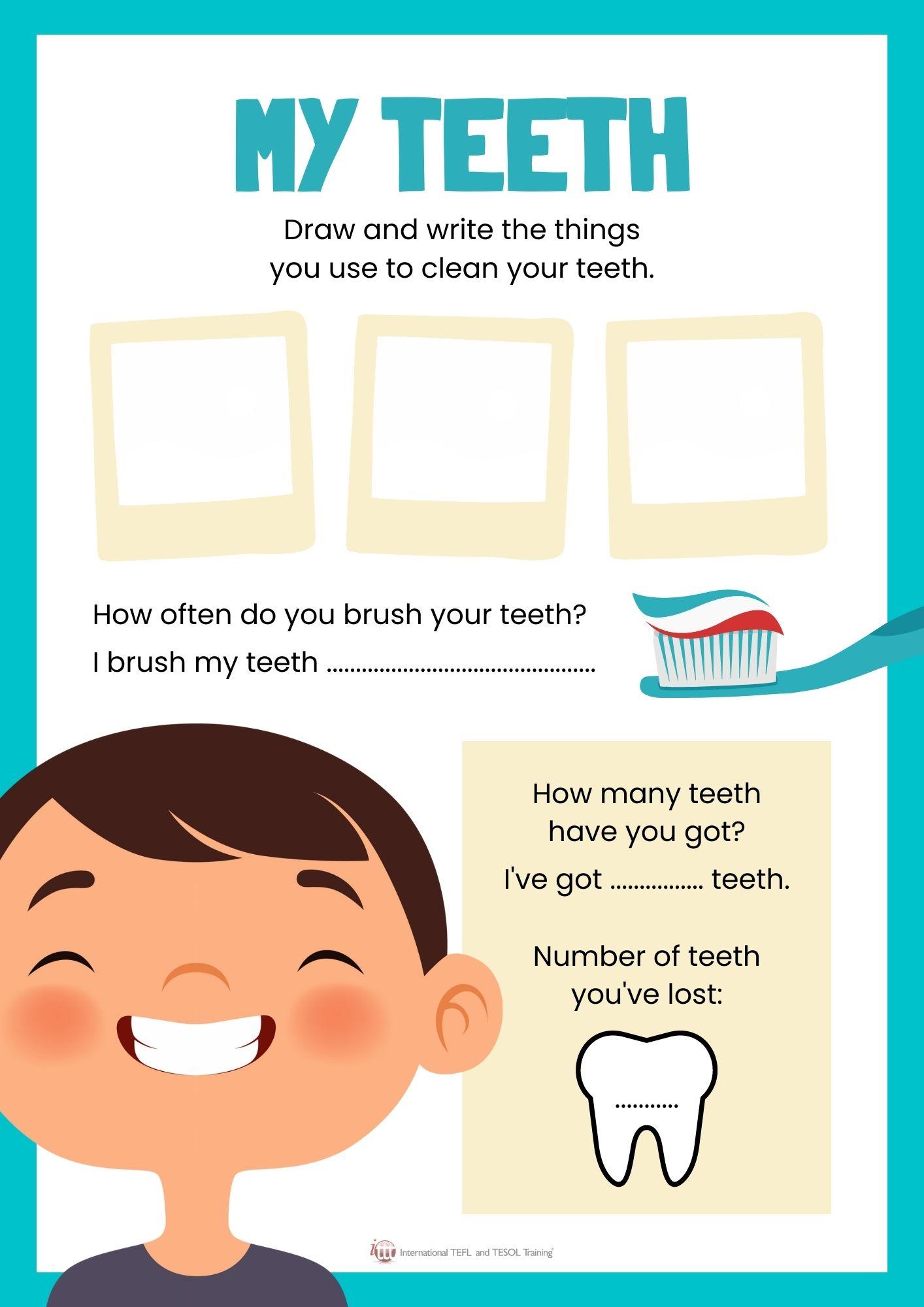 Grammar corner EFL Worksheet about Teeth