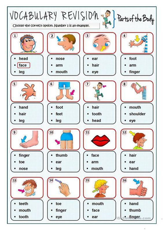 Grammar corner Parts of the Body Vocabulary Revision