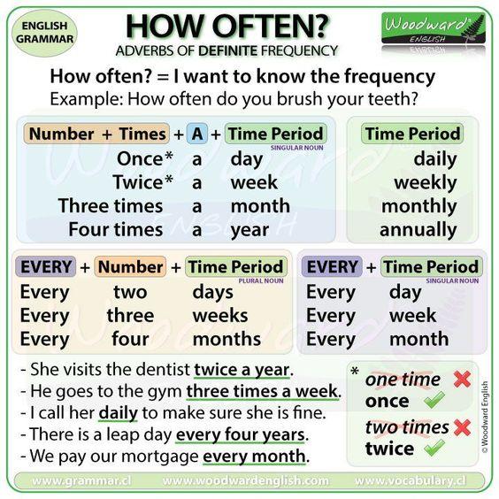 Grammar corner How Often? - Adverbs of Definite Frequency