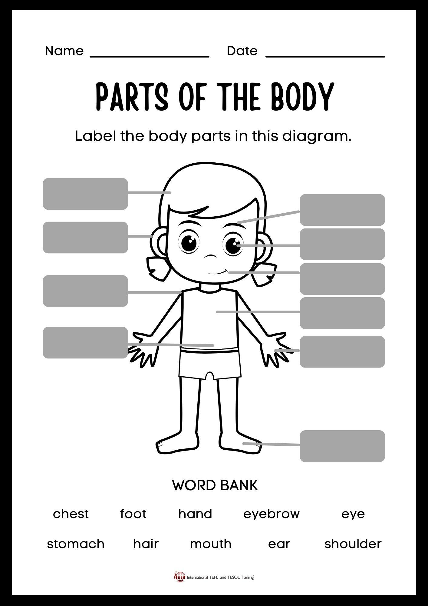 Grammar corner Parts of the Body EFL Worksheet