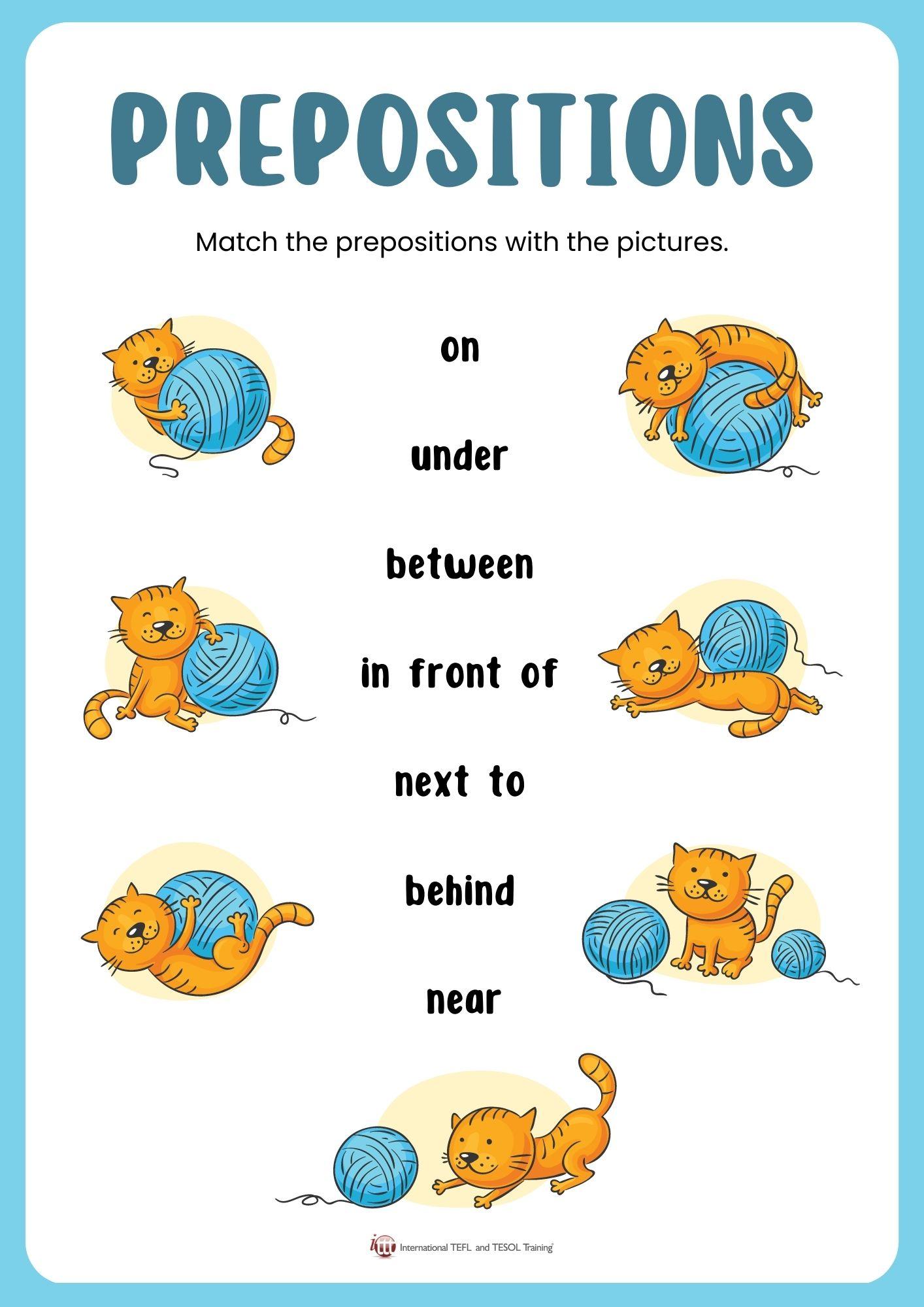 Grammar corner Prepositions with Cats Worksheet