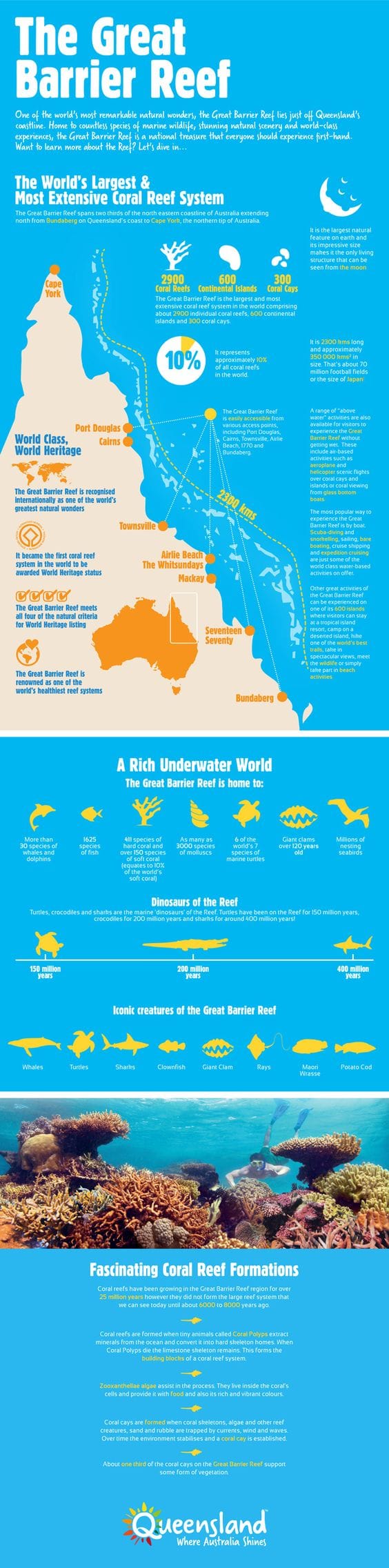 teach-english-in-australia