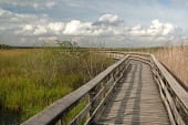 about florida