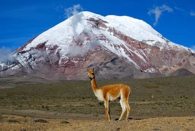 ecuador