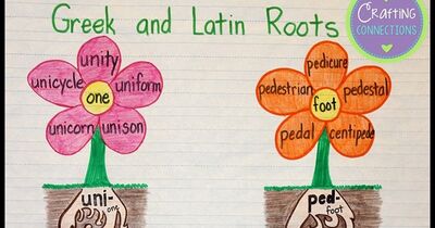 root word idea