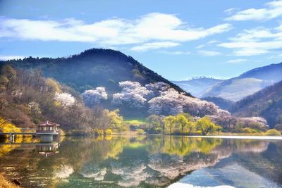 South Korea beautifl landscape