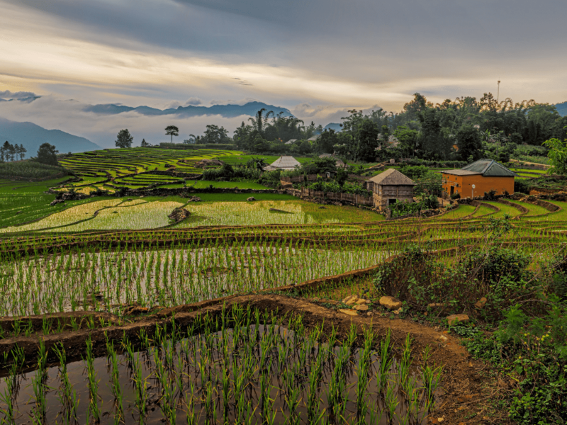 The Top 5 Places to Teach English in Vietnam | TEFL Blog