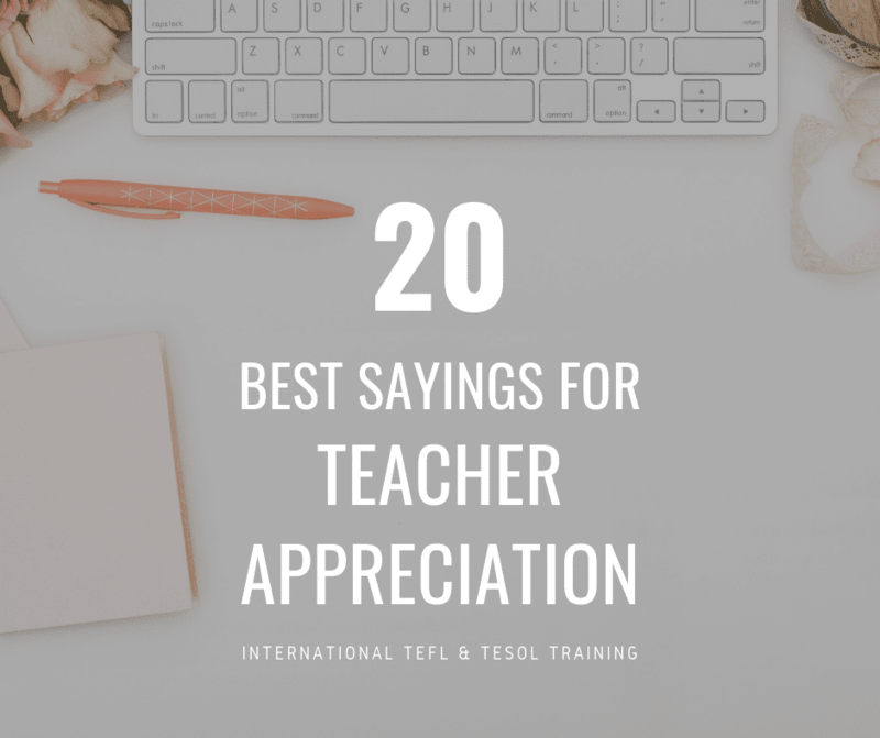 20 Best Sayings For Teacher Appreciation | ITTT | TEFL Blog