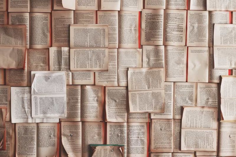 The Necessity of Slang and Idioms in ESL Studies | ITTT | TEFL Blog